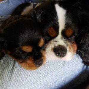 Meet your Posher, Kirsten